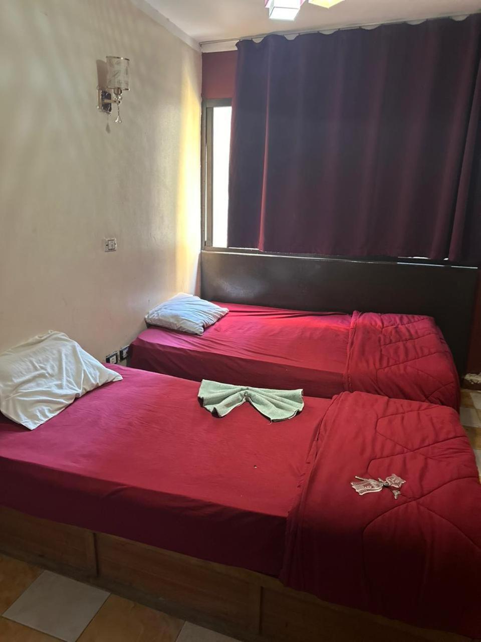 Oasis Hostal *